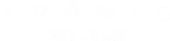 Logo Aramis Finance